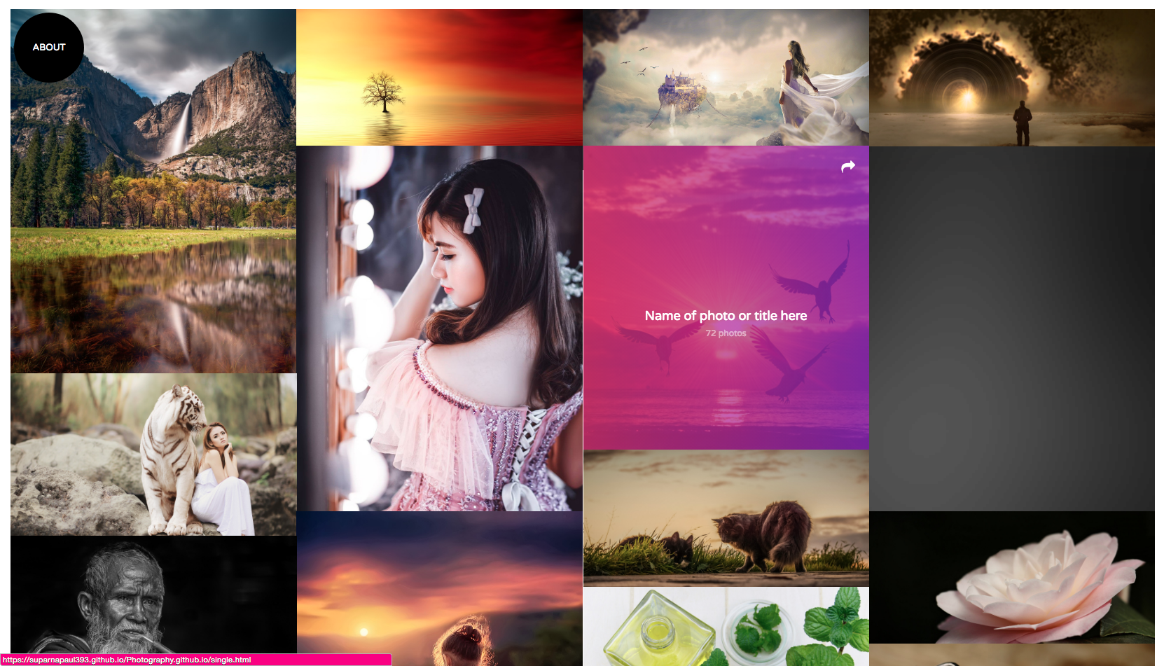 Photography Website